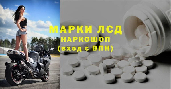 гашик Вязьма