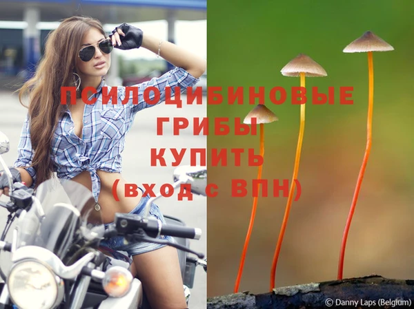 мдма Вяземский