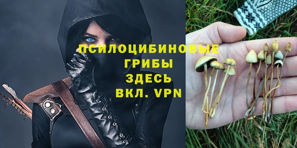 гашик Вязьма