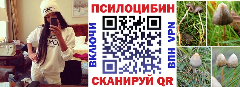 Псилоцибиновые грибы мицелий Мончегорск