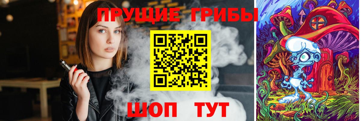 Мончегорск  Галлюциногенные грибы Cubensis  Галлюциногенные грибы Psilocybine cubensis  где найти   Вход с VPN 